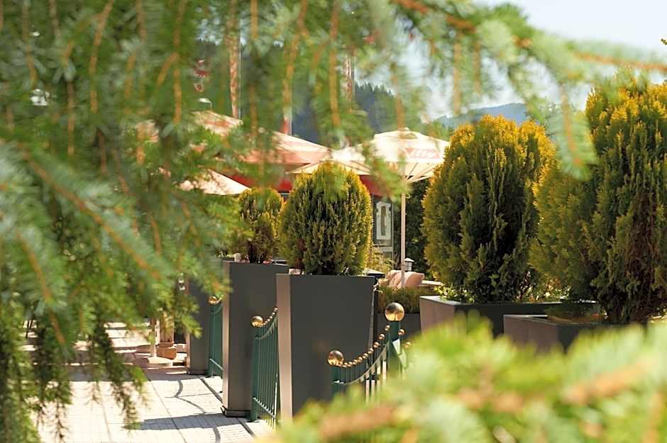 Hotel Happy Filzmoos