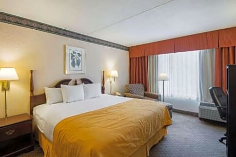 King Room with Sofa Bed