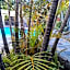 See More Guest House