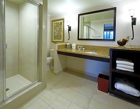 Kng Bed Mtg Rm Ste/Conf Rm-Poolview