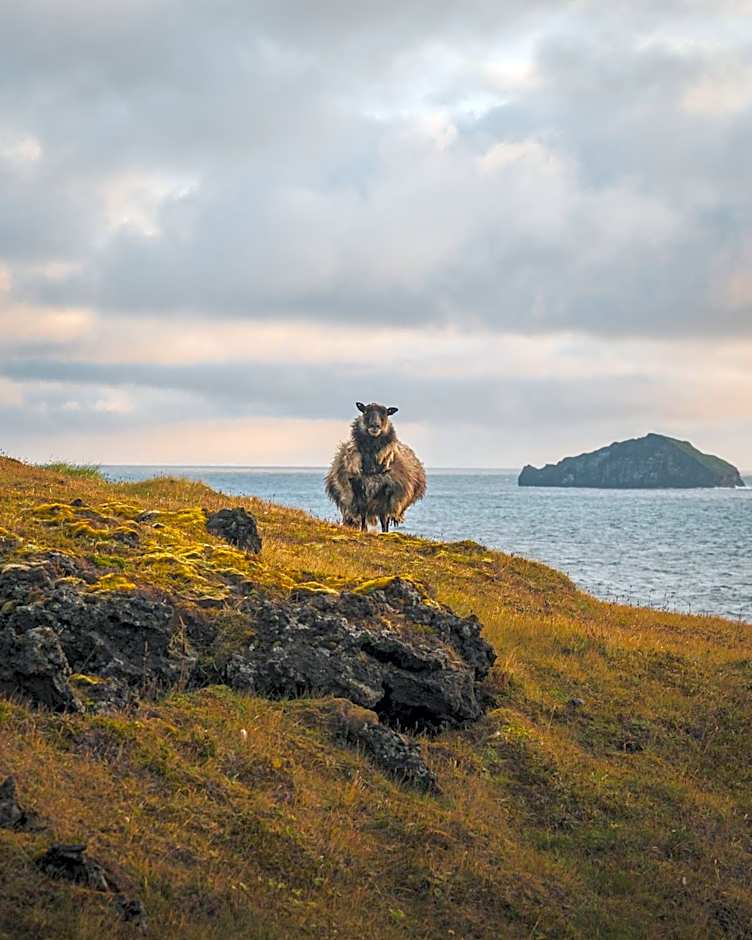 Westman Islands Inn