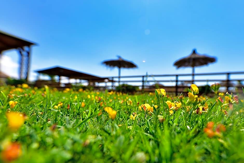 Agriturismo il Laghetto