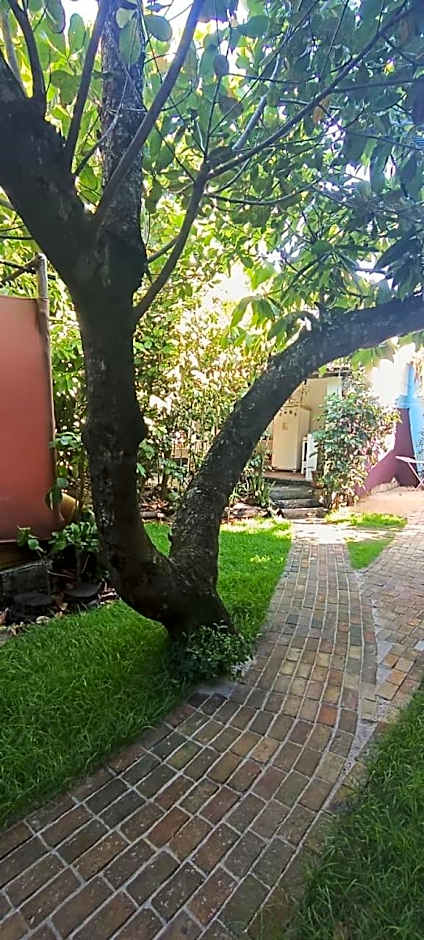 Casa Praiô Caraíva