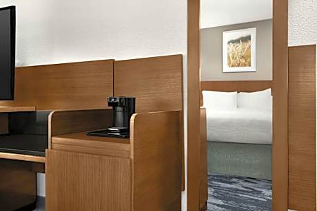 King Suite with Sofa Bed