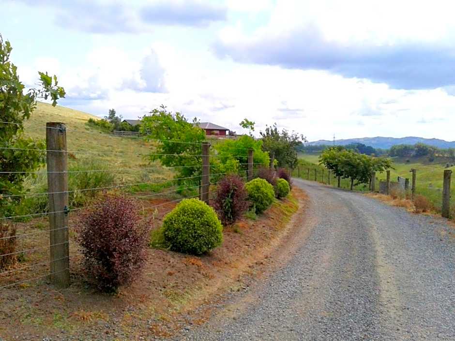 Kauri Lodge Karapiro