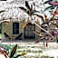 Villas Ecotucan