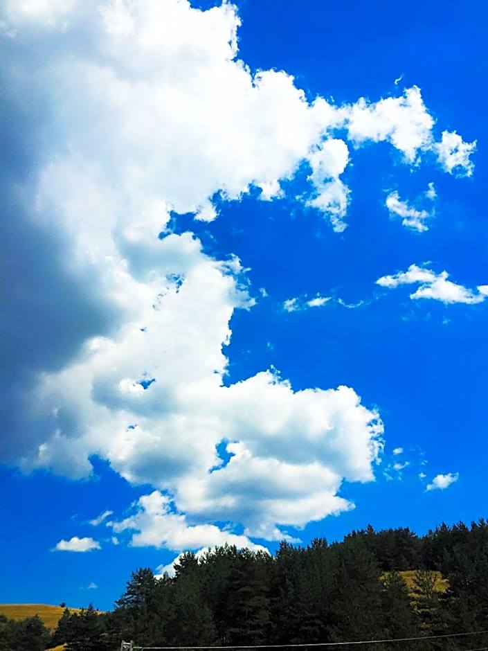 Park Hotel Eagle Stone