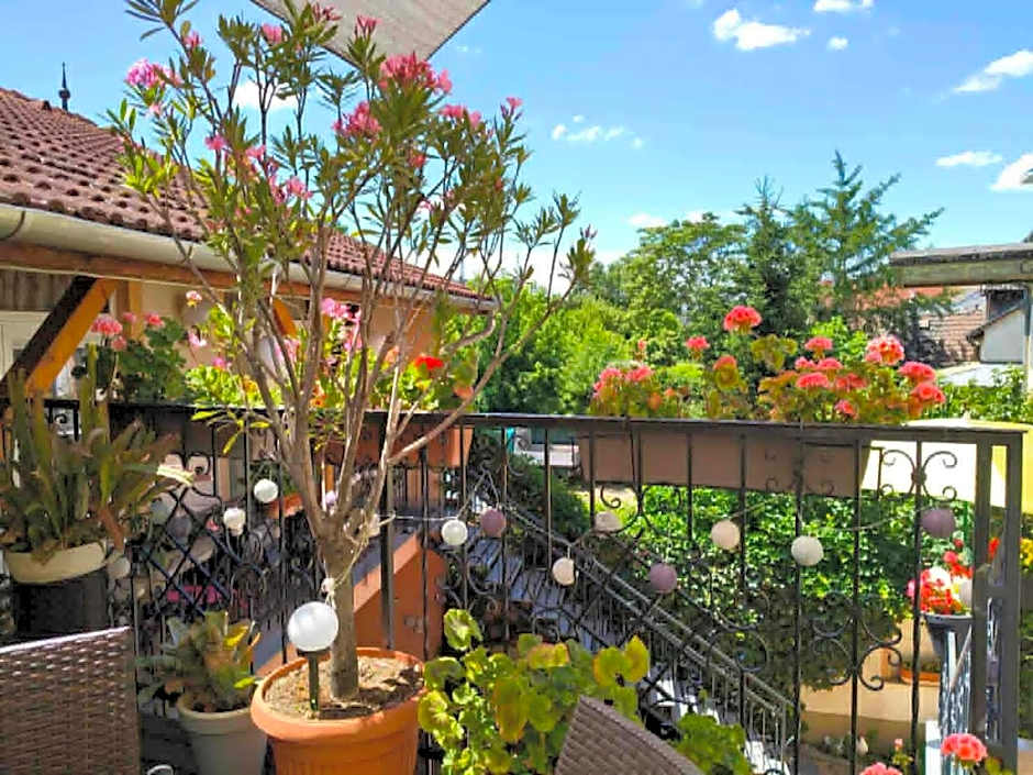Hotel Isabell Győr
