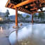 Togari Onsen Alpine Plaza - Vacation STAY 02286v