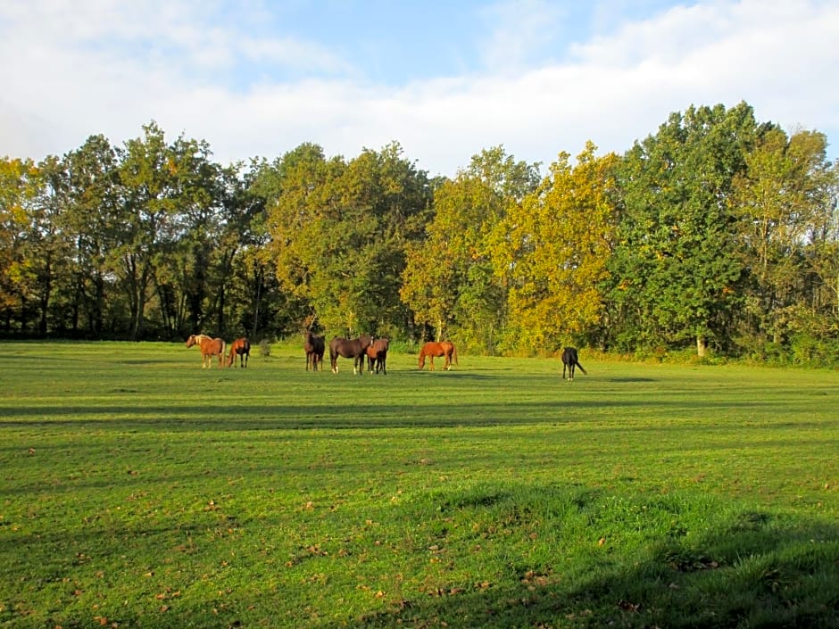 Espace Nature Studio indépendant proche du Parc des oiseaux