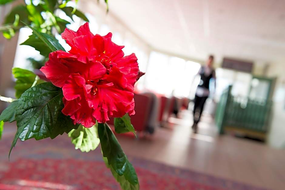 Best Western Hotell Lerdalshoejden