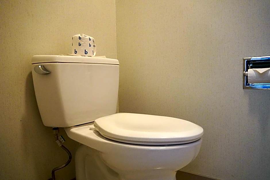 Timberland Inn & Suites