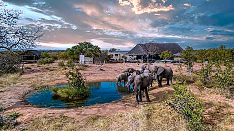 Imagine Africa Luxury Tented Camp