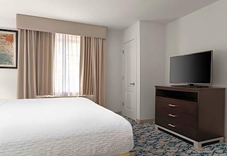 One-Bedroom King Suite with Fireplace - Non-Smoking