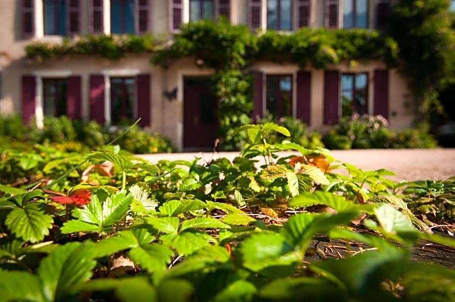 Au Puy Des Vérités