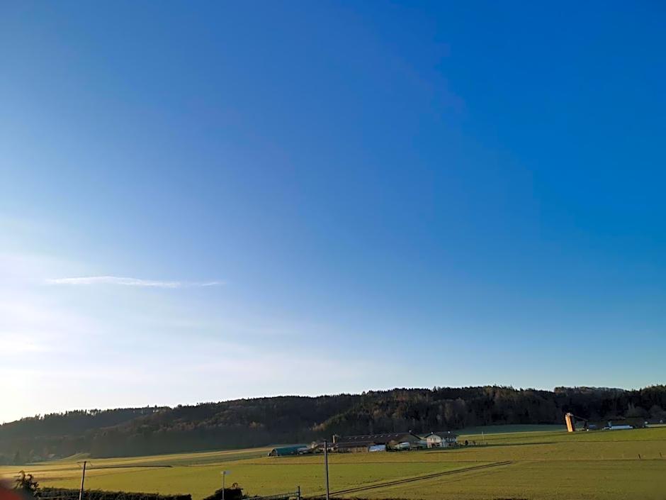 Hotel16 by Messe & Stadion Suisse in Minuten & Late Check-in