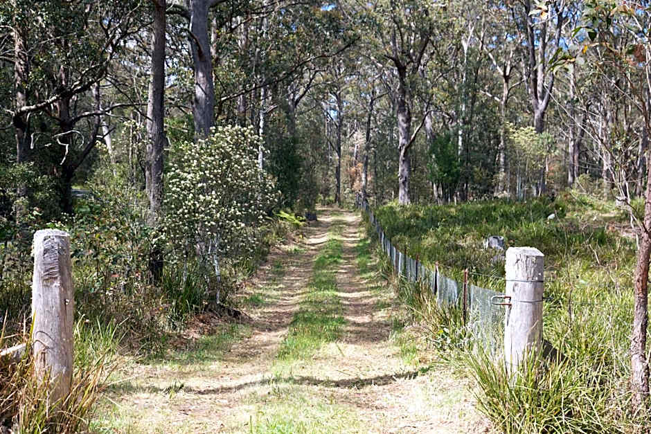 Dorrigo Bush Pepper Retreat
