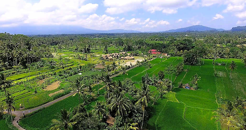 De Klumpu Bali Eco Tradi Stay