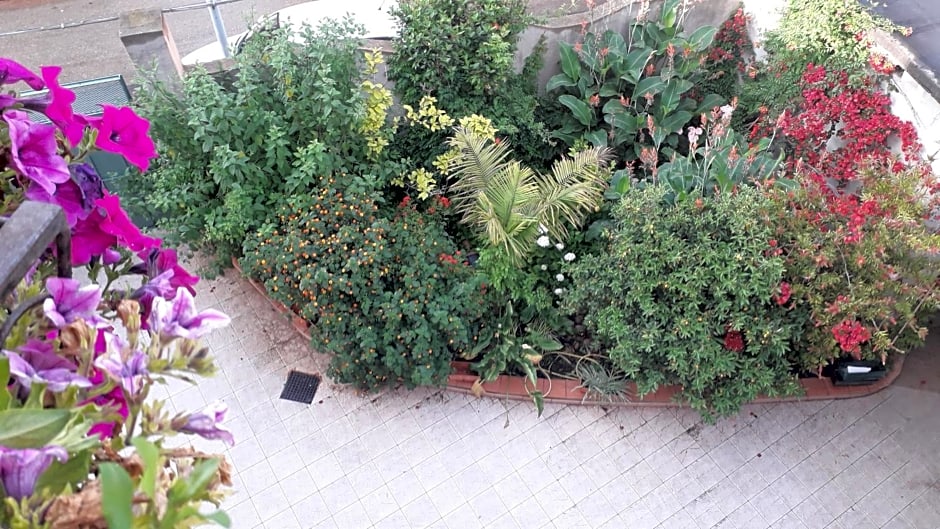 Bed and Breakfast Le petunie