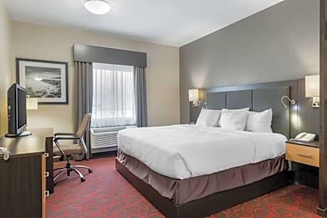 1 King Bed Non-Smoking Pet Friendly Room Microwave Fridge Wi-Fi Full Breakfast