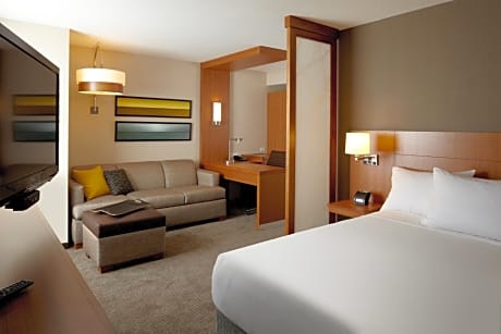 King Room with Sofa Bed and Accessible Shower - Disability Access