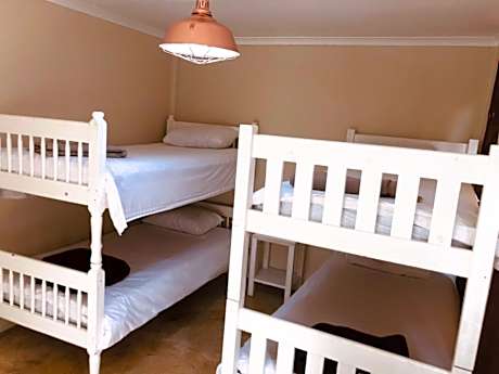 Bunk Bed in Mixed Dormitory Room