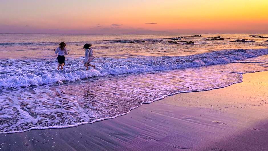 Sunny Coast Minamiboso Pet
