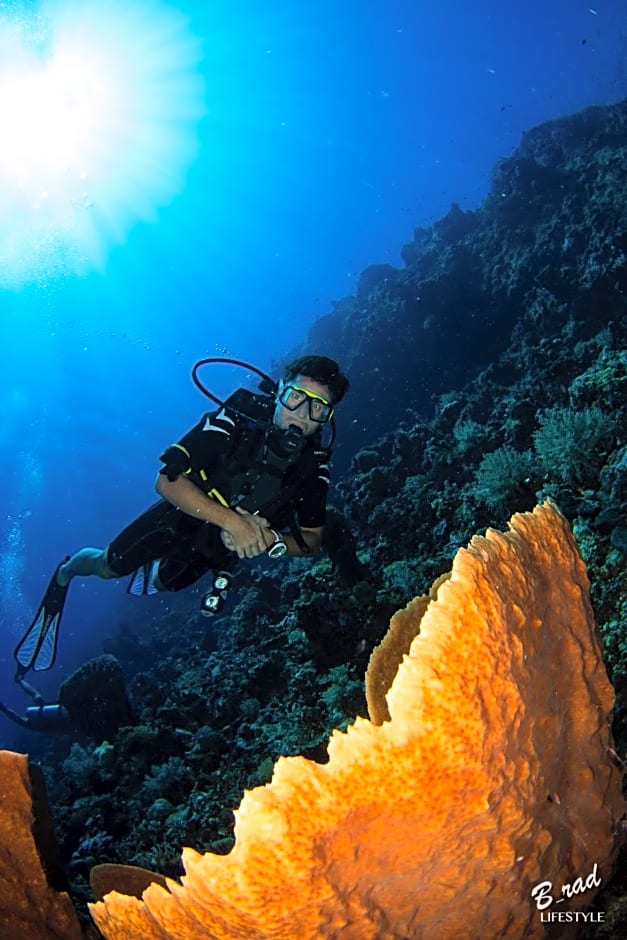 Sifa Diving Resort