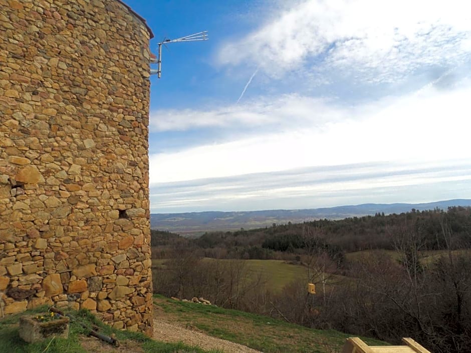 le Donjon de la Reine Margot