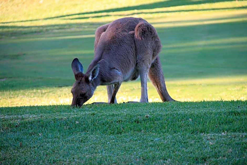 Breakfree Wirrina Cove