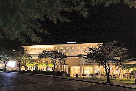 Daegu Palgong Emilia Hotel