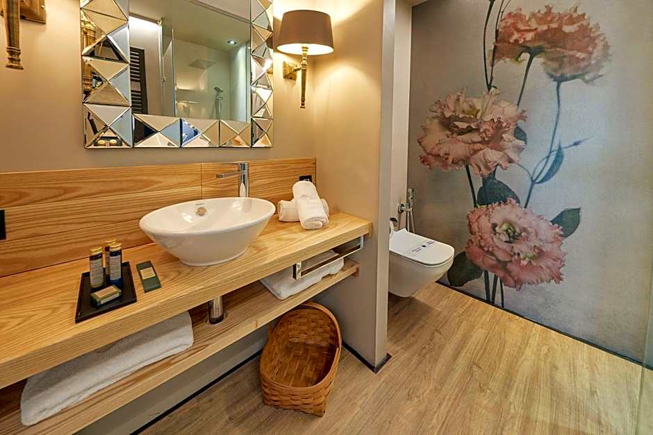 Alojamientos Ainsa Sanchez