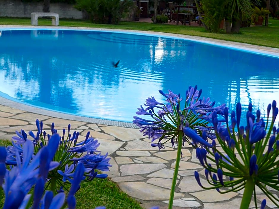 B&B La Taverna dei Ciucci