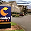 Comfort Suites Linn County Fairground And Expo