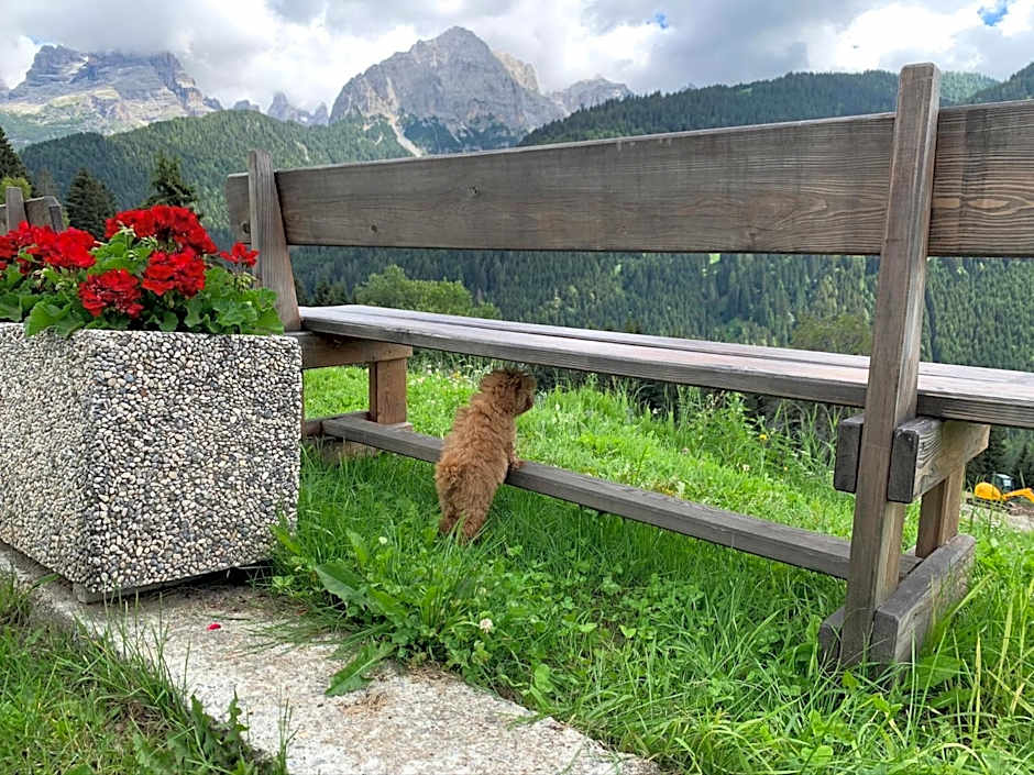 Albergo Ristorante Al Fratè da Streza