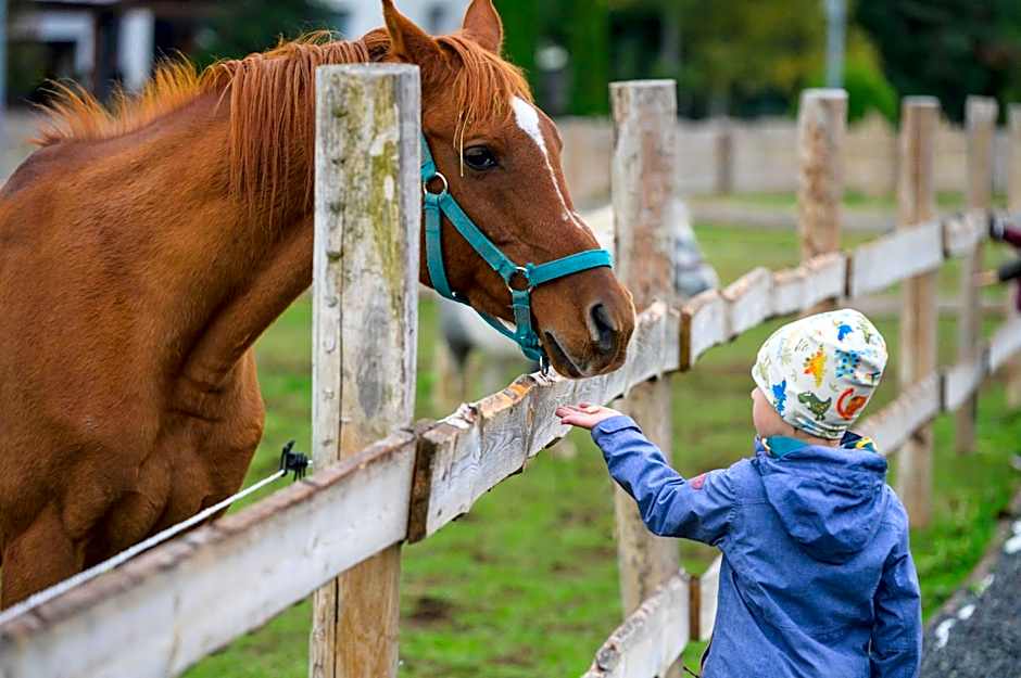 Rodinný Hotel Hubert High Tatras