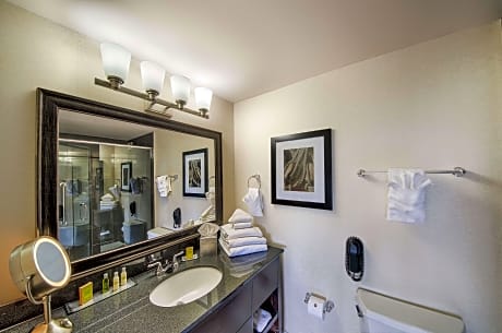 1 King Premium Water View-Shower-No Smoking