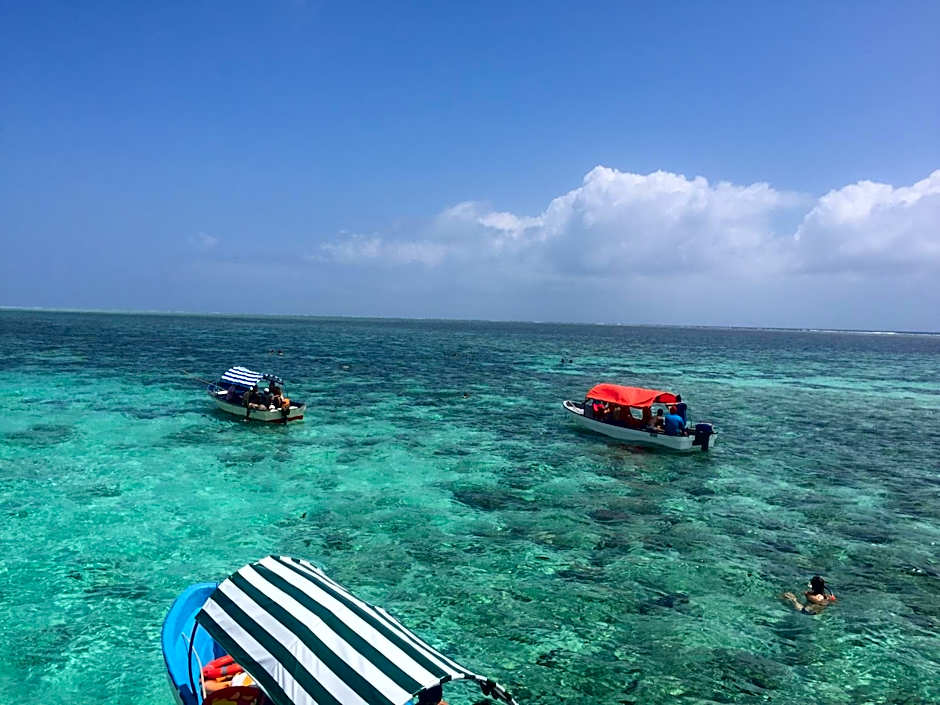 Habibis Bottle House