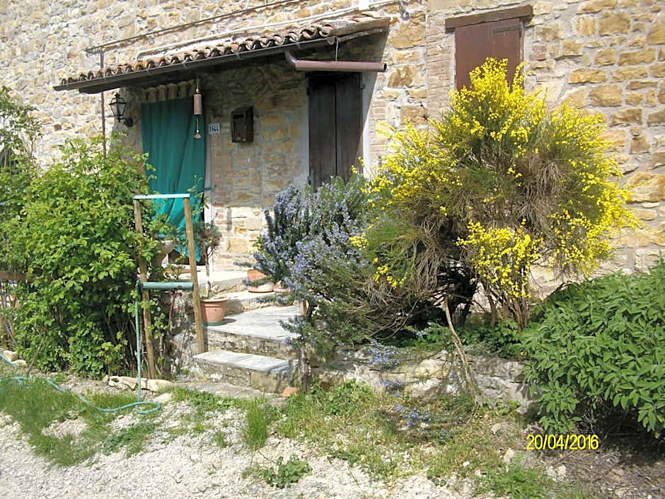 B&b San Nicola