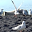 Navigate Seaside Hotel