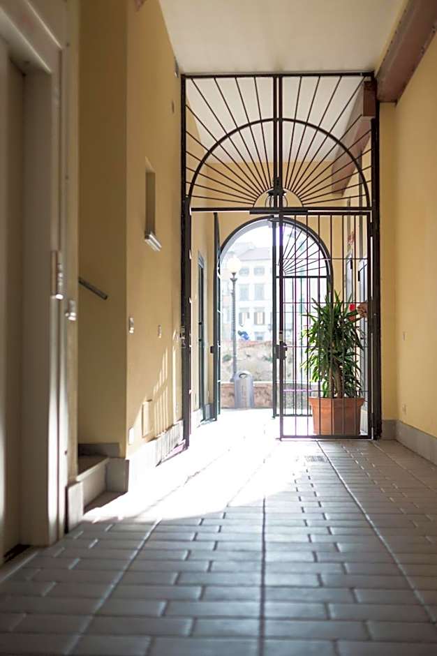Agave in Città