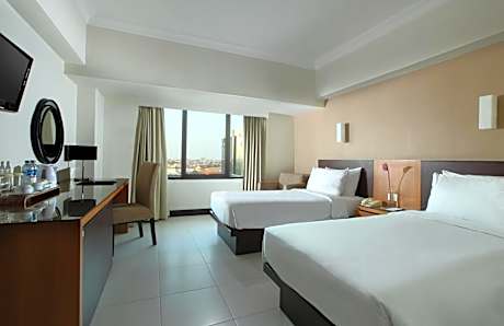 Deluxe Executive Twin Room