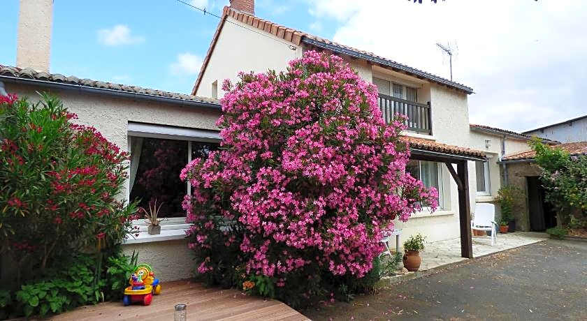 Chambres d'Hotes Vignes et Loire