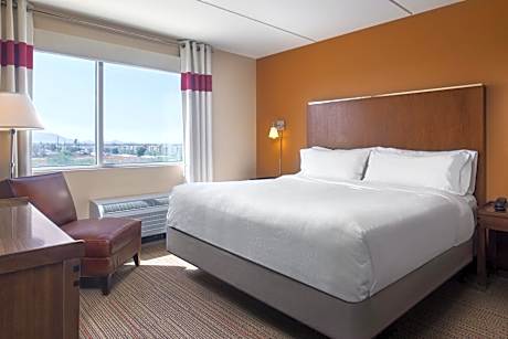 1 Bedroom Suite, 1 King, Sofa bed
