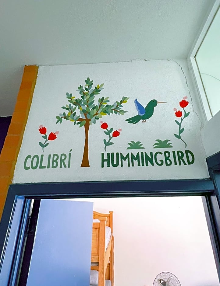 Vive Alegria Hostel
