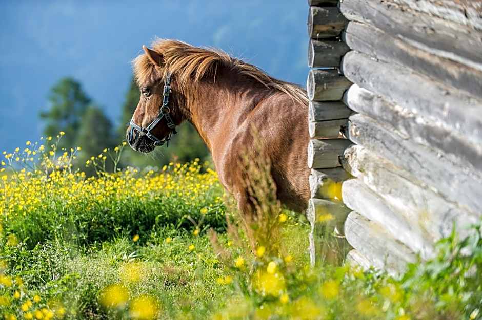 Sattleggers Alpenhof & Feriensternwarte
