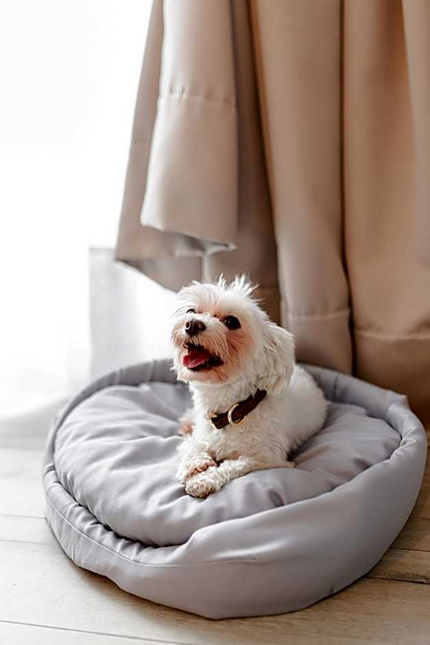 My Story Sopot Apartments