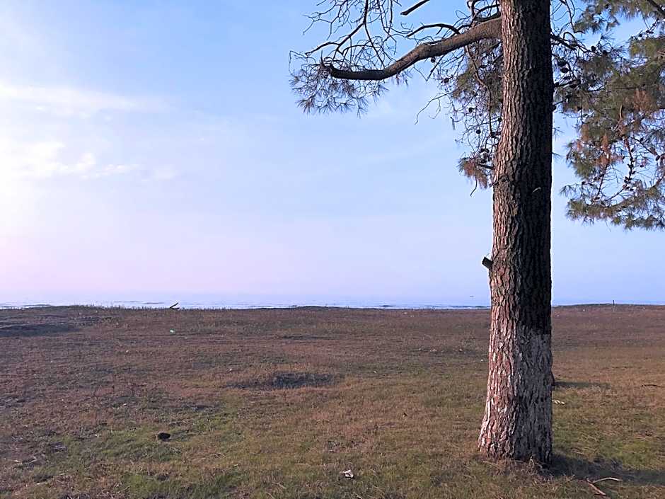 Simple Pleasures Shekvetili Hotel