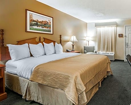 1 King Bed, Smoking, Accessible