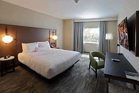 Guest room, 1 King, City view